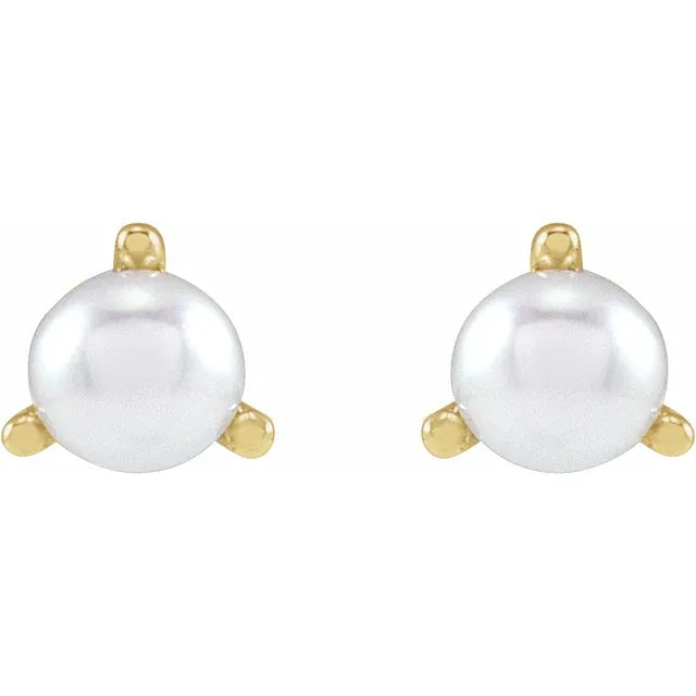 3 Prong Pearl Stud Earrings